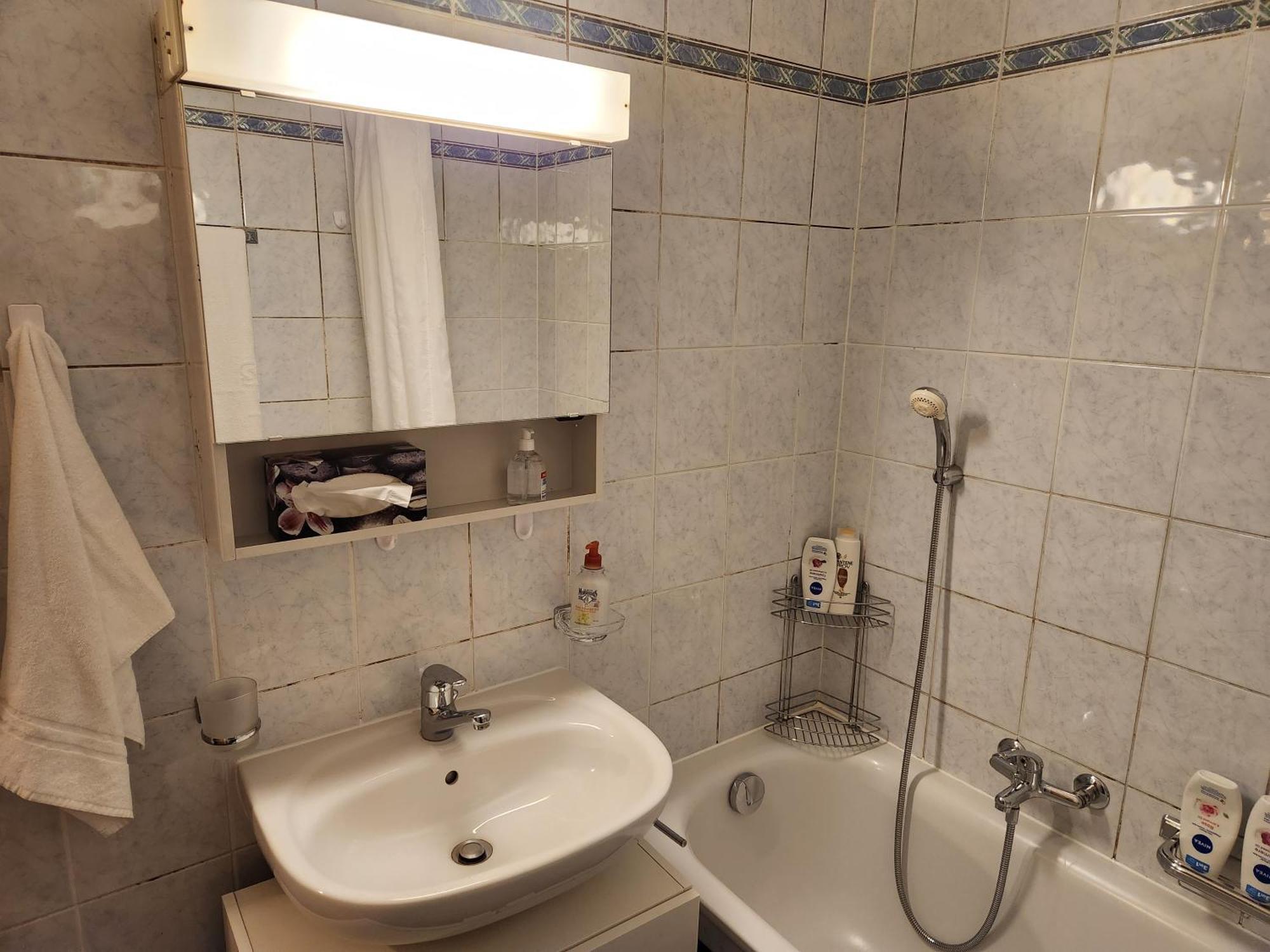 Room In Shared Apartment Cenevre Dış mekan fotoğraf