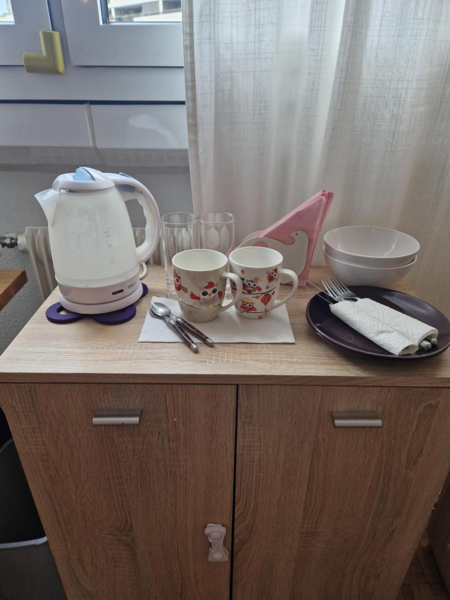 Room In Shared Apartment Cenevre Dış mekan fotoğraf